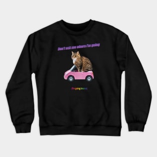 Don't ask me where I'm going (I'm going insane) Crewneck Sweatshirt